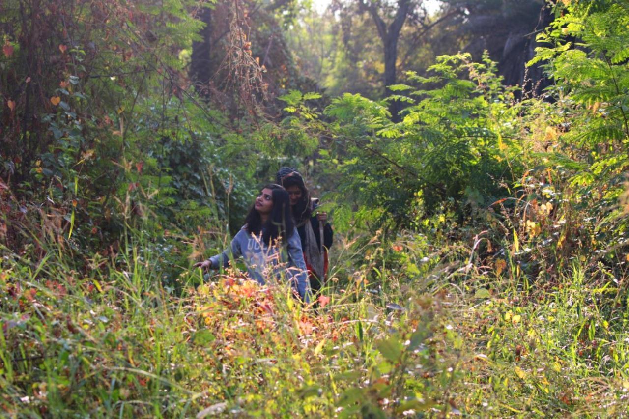 Dera Baghdarrah Nature Retreat 烏代浦 外观 照片