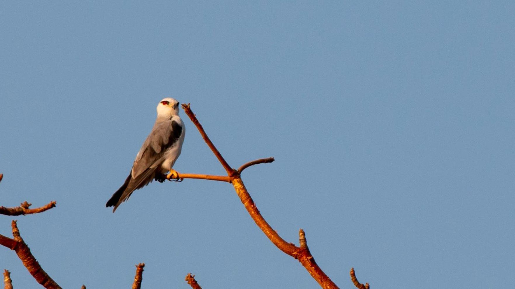 Dera Baghdarrah Nature Retreat 烏代浦 外观 照片