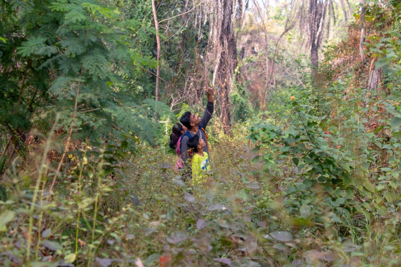Dera Baghdarrah Nature Retreat 烏代浦 外观 照片