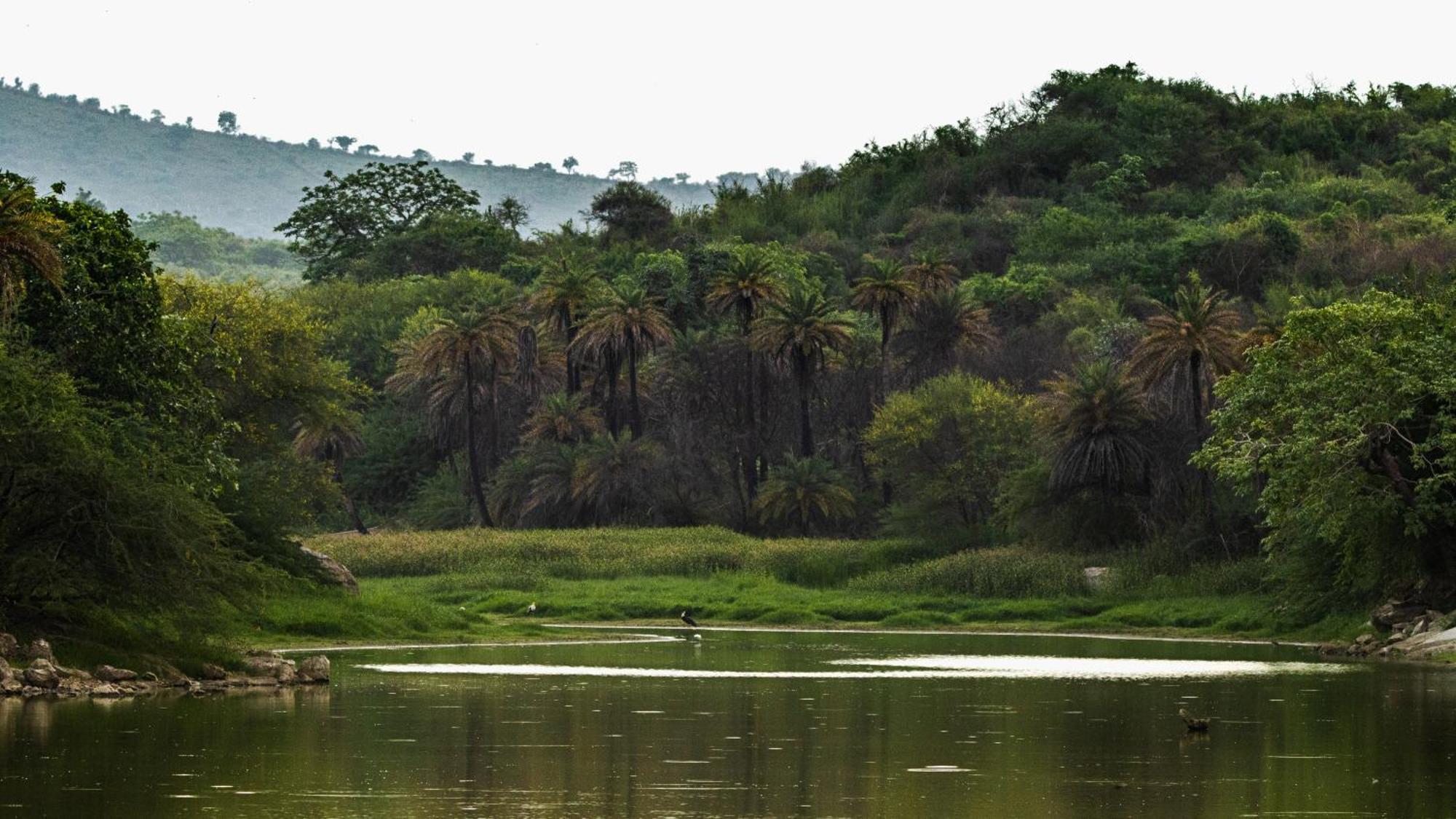 Dera Baghdarrah Nature Retreat 烏代浦 外观 照片