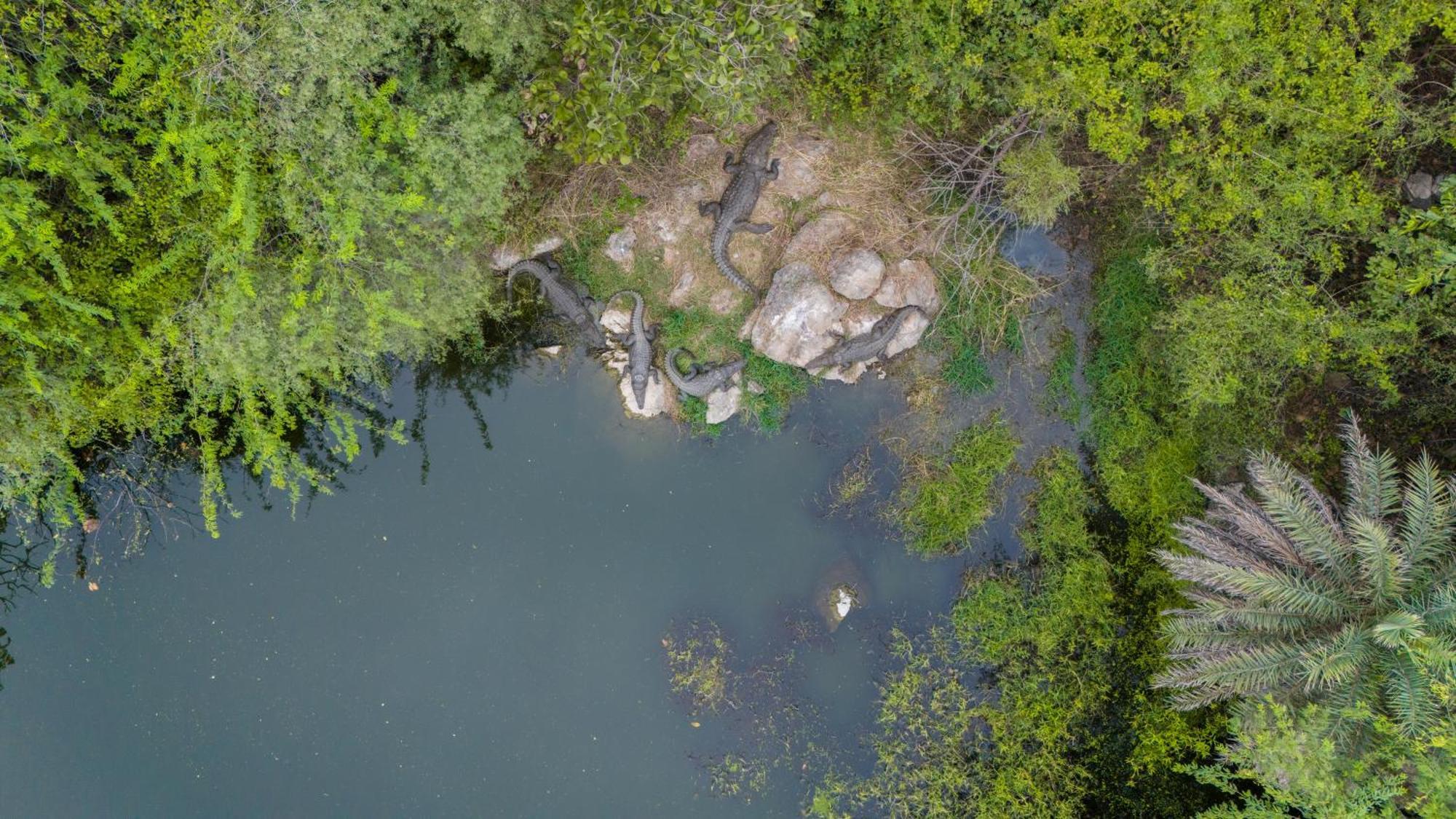 Dera Baghdarrah Nature Retreat 烏代浦 外观 照片
